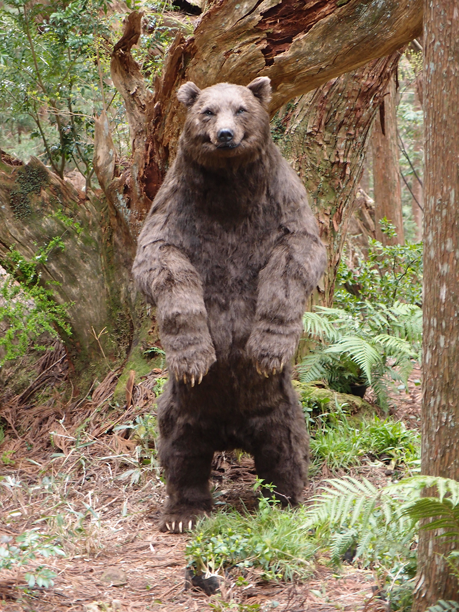 8周年記念イベントが 着ぐるみ くま シロ A-200 大人用 貸し出し イベント用 動物 熊 クマコスチューム 1日使用